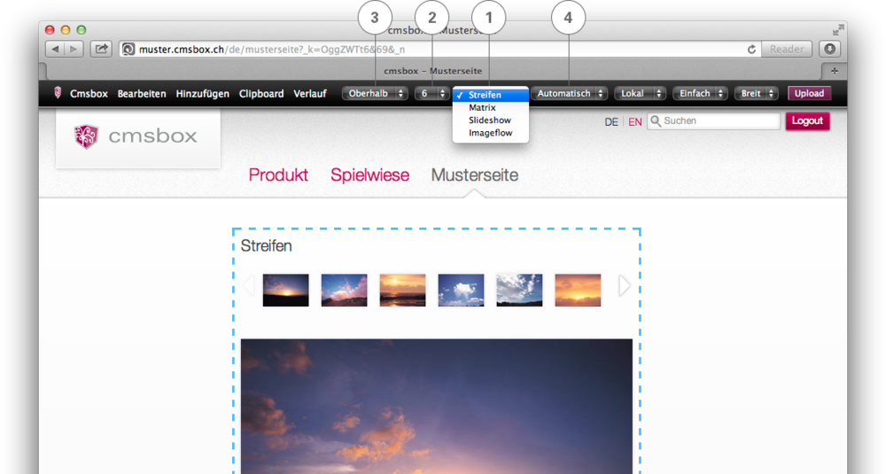 Album Darstellung «Streifen»