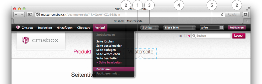 Seite(n) publizieren
