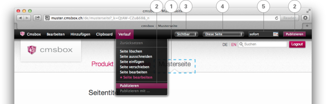 Seite(n) publizieren
